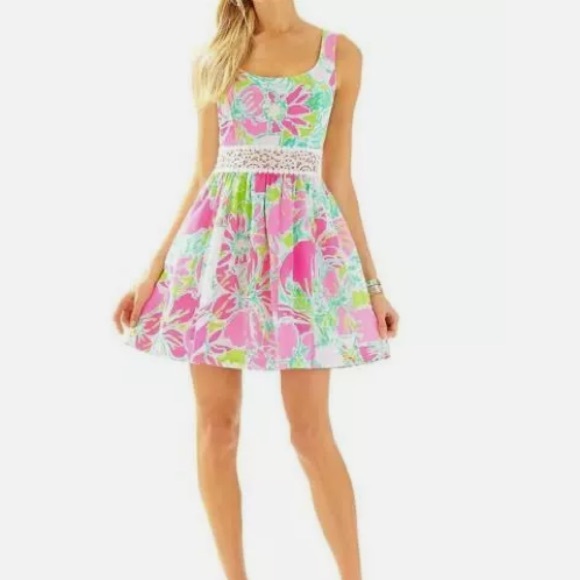 Lily Pulitzer Dress - Picture 5 of 6